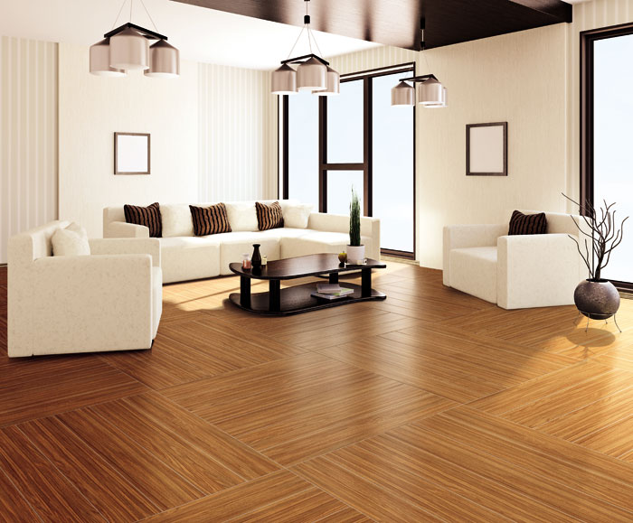 最美，不過當(dāng)陽光遇上森林