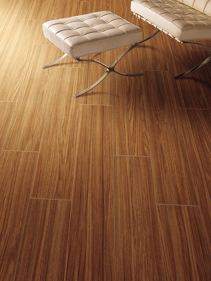 最美，不過當(dāng)陽光遇上森林